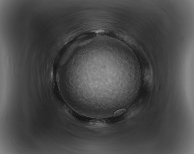 X0000086730559200704131109