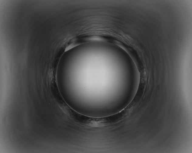 X0000086730560200704131109