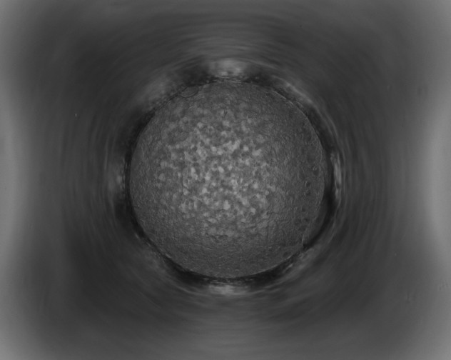 X0000086730561200704131109