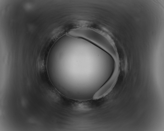 X0000086730564200704131109