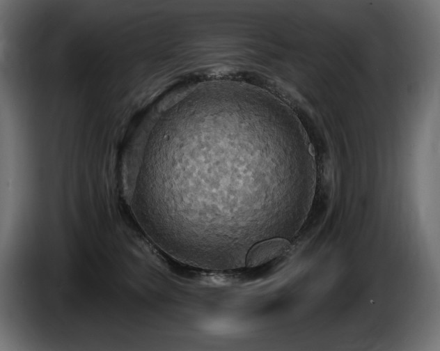 X0000086730565200704131109