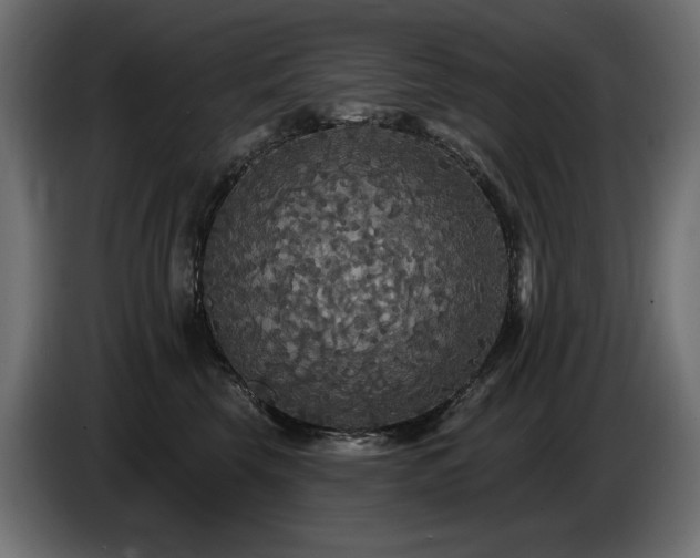 X0000086730569200704131109