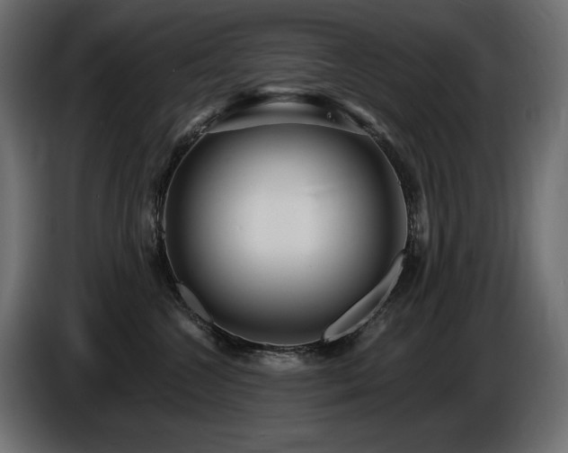 X0000086730572200704131109