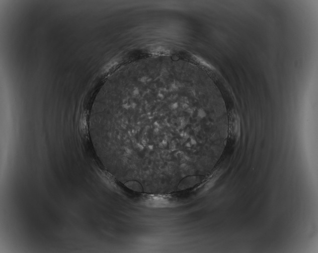 X0000086730573200704131109