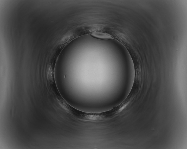 X0000086730575200704131109