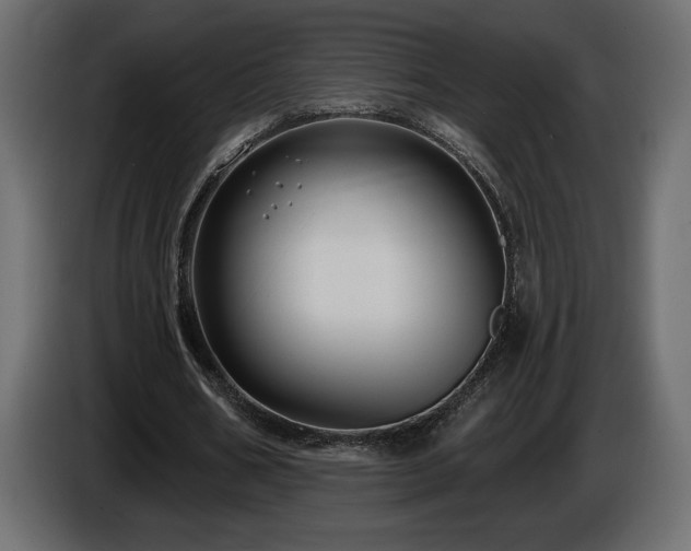 X0000086730578200704131108