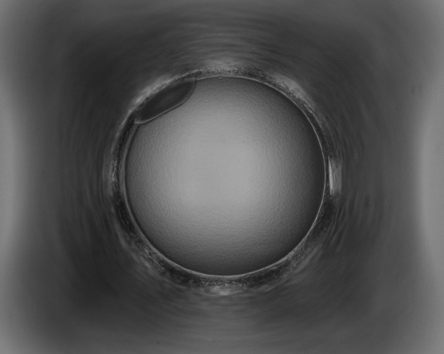 X0000086730579200704131108