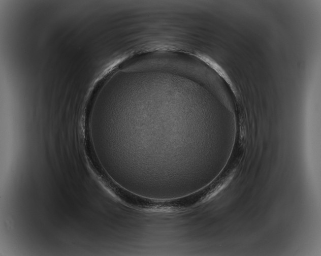 X0000086730581200704131108