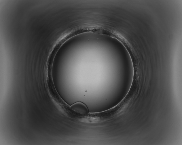 X0000086730582200704131108
