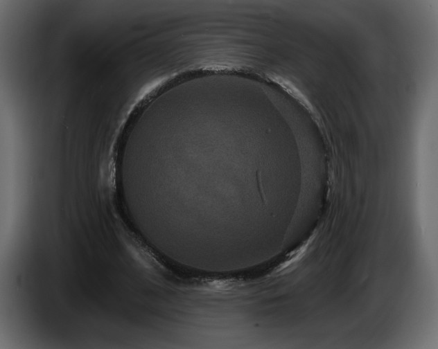 X0000086730584200704131108