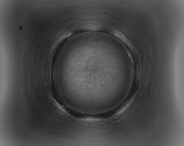 X0000086730585200704131108
