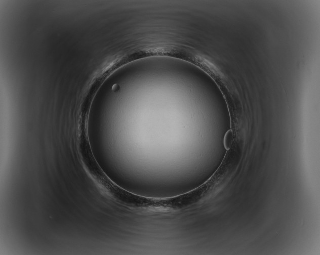 X0000086730586200704131108