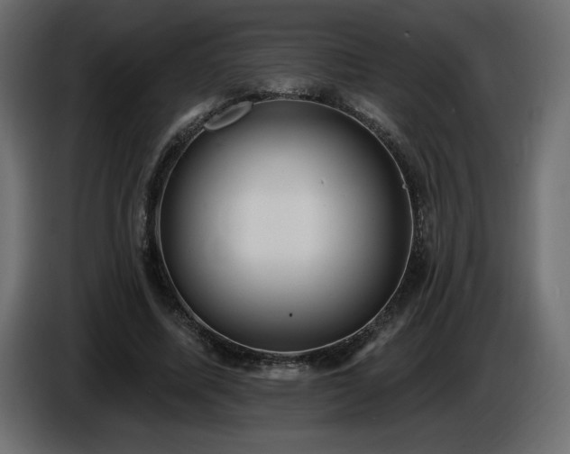 X0000086730587200704131108