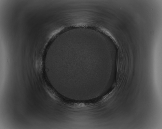 X0000086730588200704131108