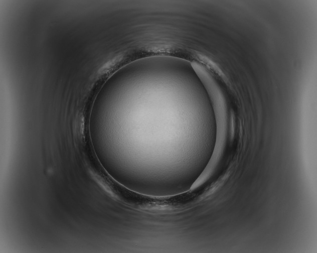 X0000086730589200704131108