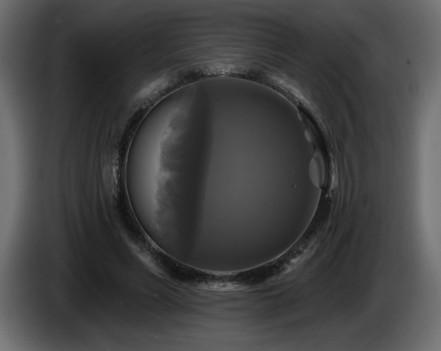 X0000086730590200704131108