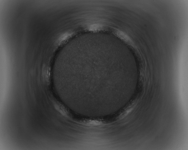 X0000086730592200704131108