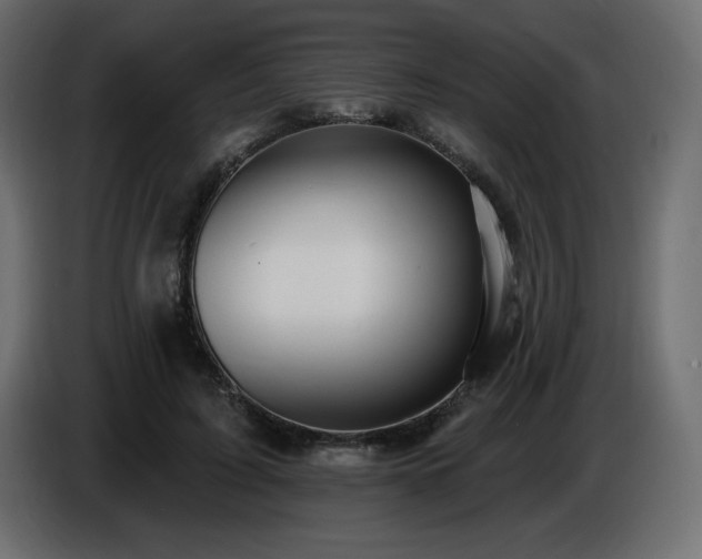 X0000086730595200704131108