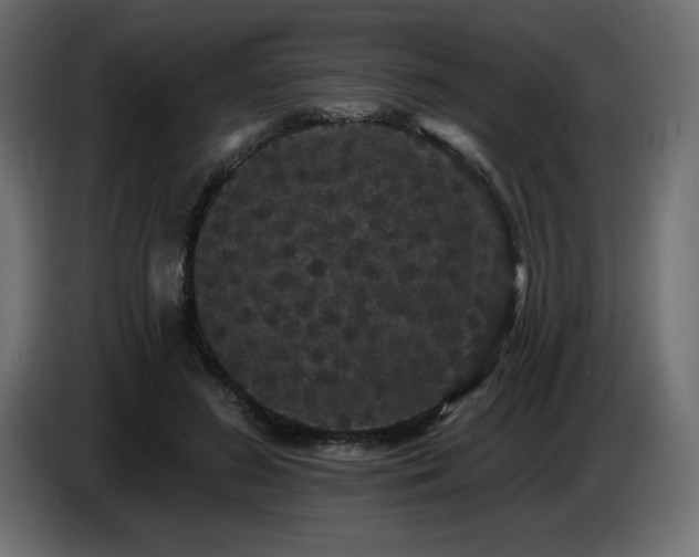 X0000086730596200704131108