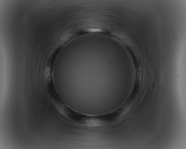 X0000086730598200704131108