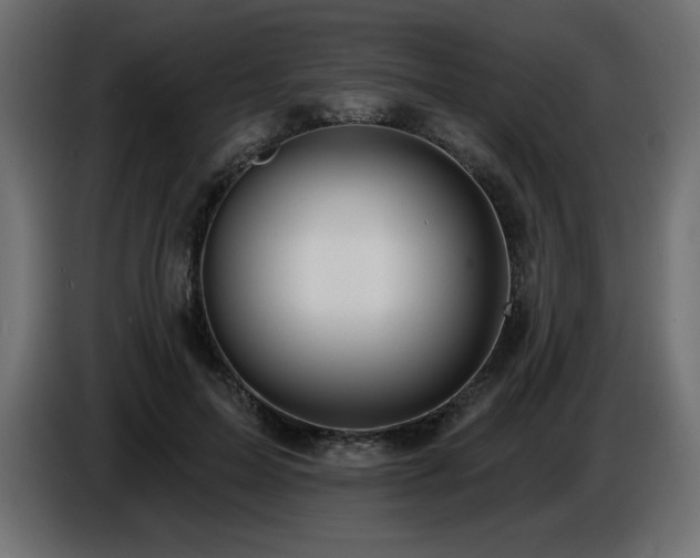 X0000086730599200704131108