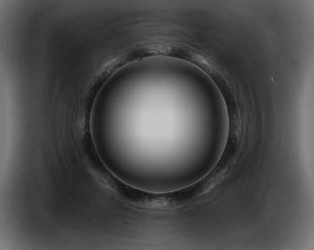 X0000086730600200704131108