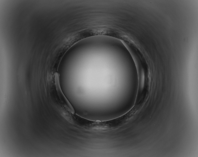 X0000086730601200704131108