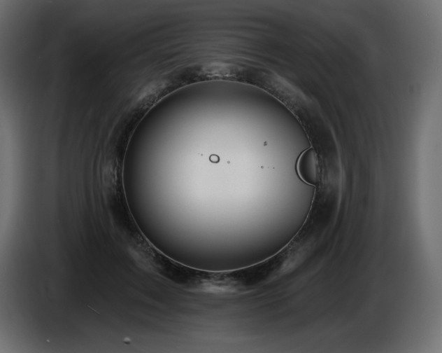 X0000086730603200704131108