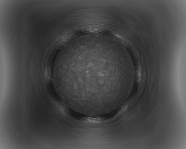 X0000086730606200704131108