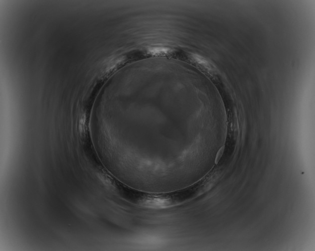 X0000086730610200704131108