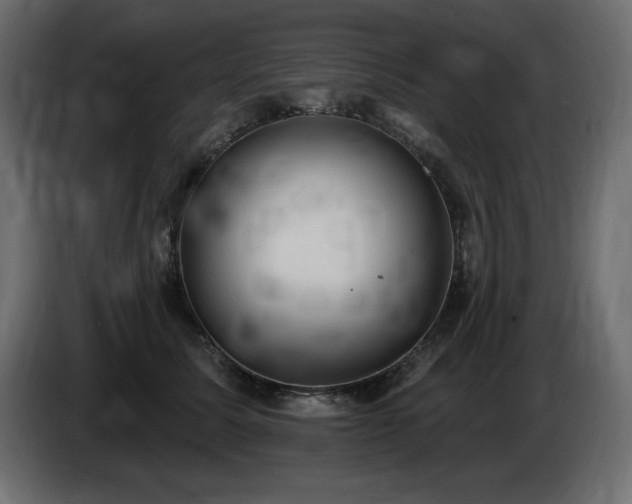 X0000086730611200704131108