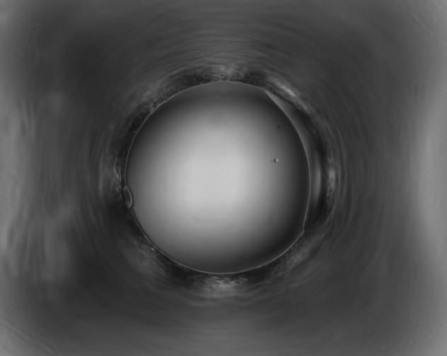 X0000086730613200704131108