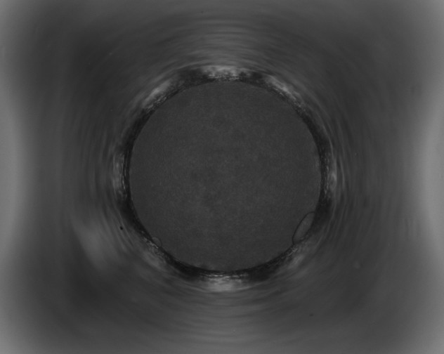 X0000086730616200704131108