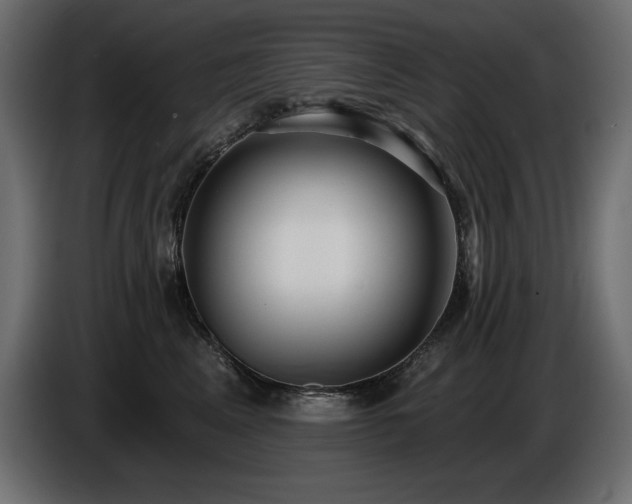 X0000086730617200704131108