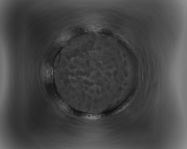 X0000086730624200704131108