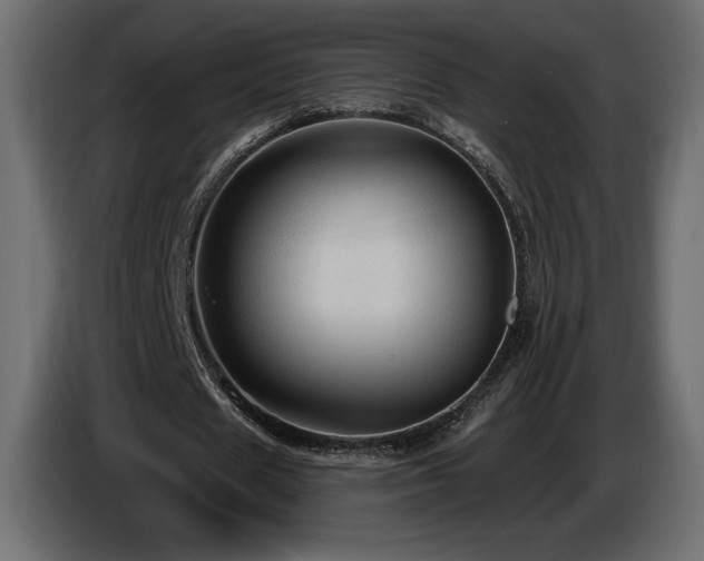 X0000086730625200704131107