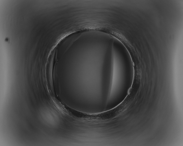 X0000086730626200704131107