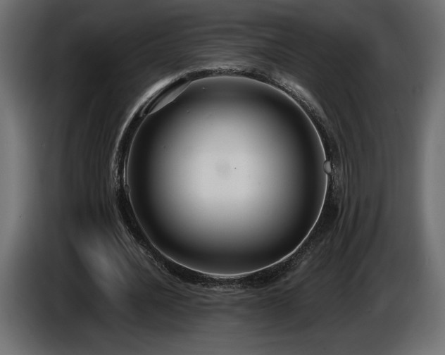 X0000086730628200704131107