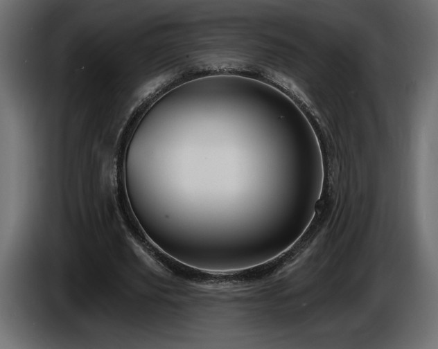X0000086730629200704131107