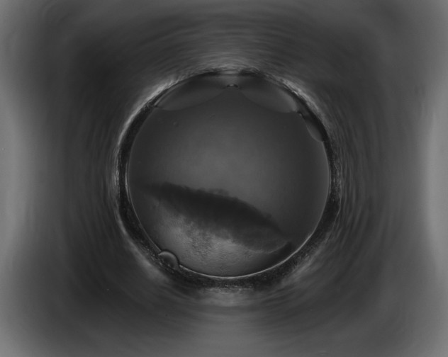 X0000086730630200704131107