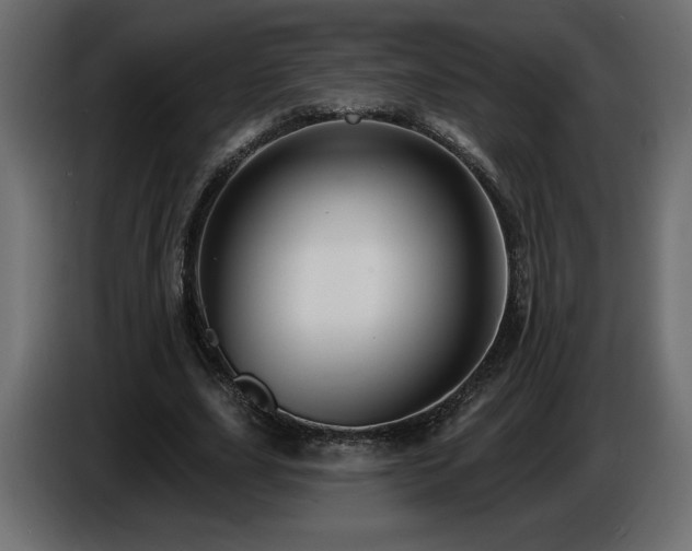 X0000086730631200704131107