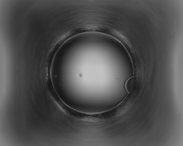 X0000086730633200704131107