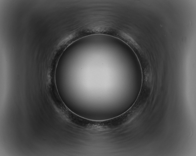 X0000086730635200704131107