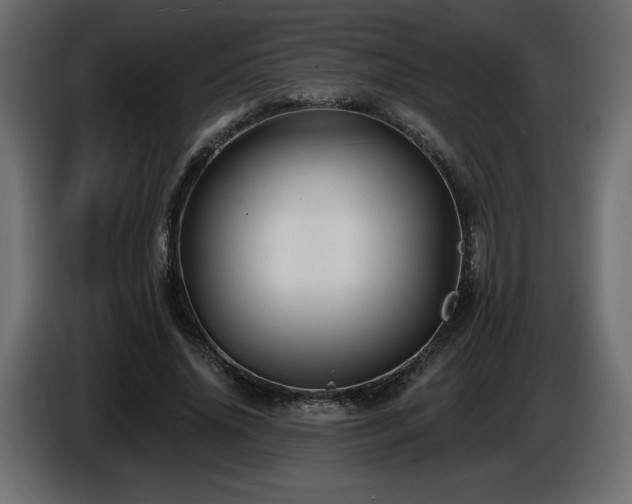 X0000086730636200704131107