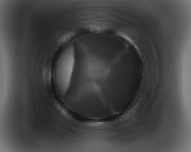 X0000086730637200704131107