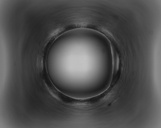 X0000086730638200704131107