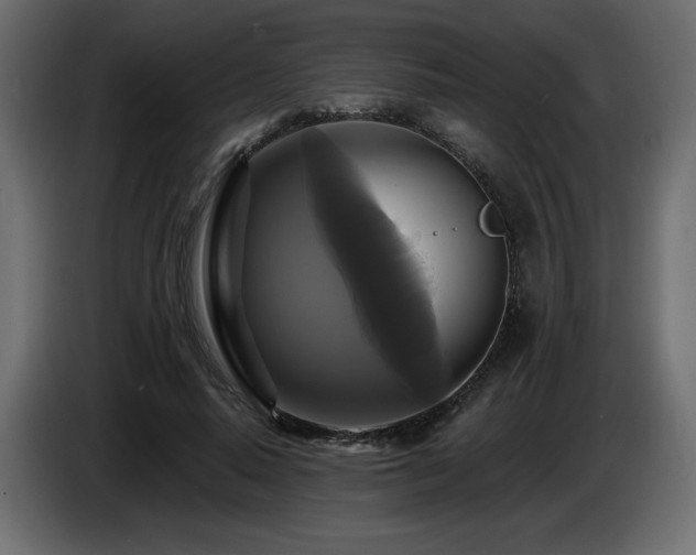 X0000086730640200704131107