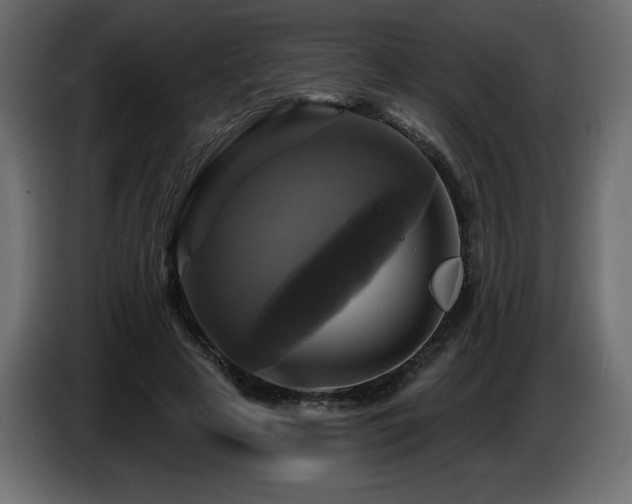 X0000086730641200704131107