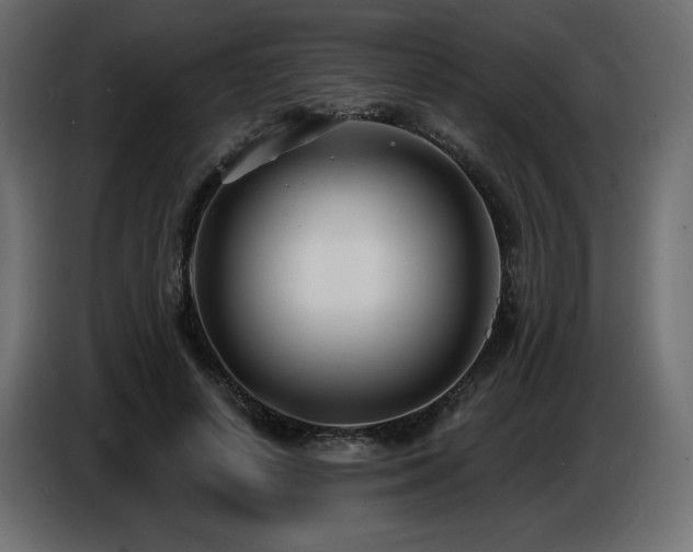 X0000086730642200704131107