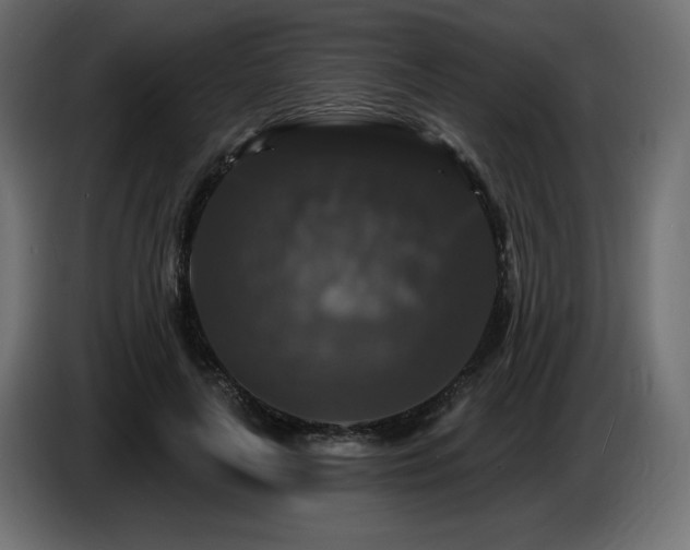 X0000086730643200704131107